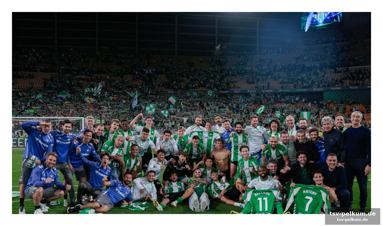 Die champions league – ein lukratives geschäft
