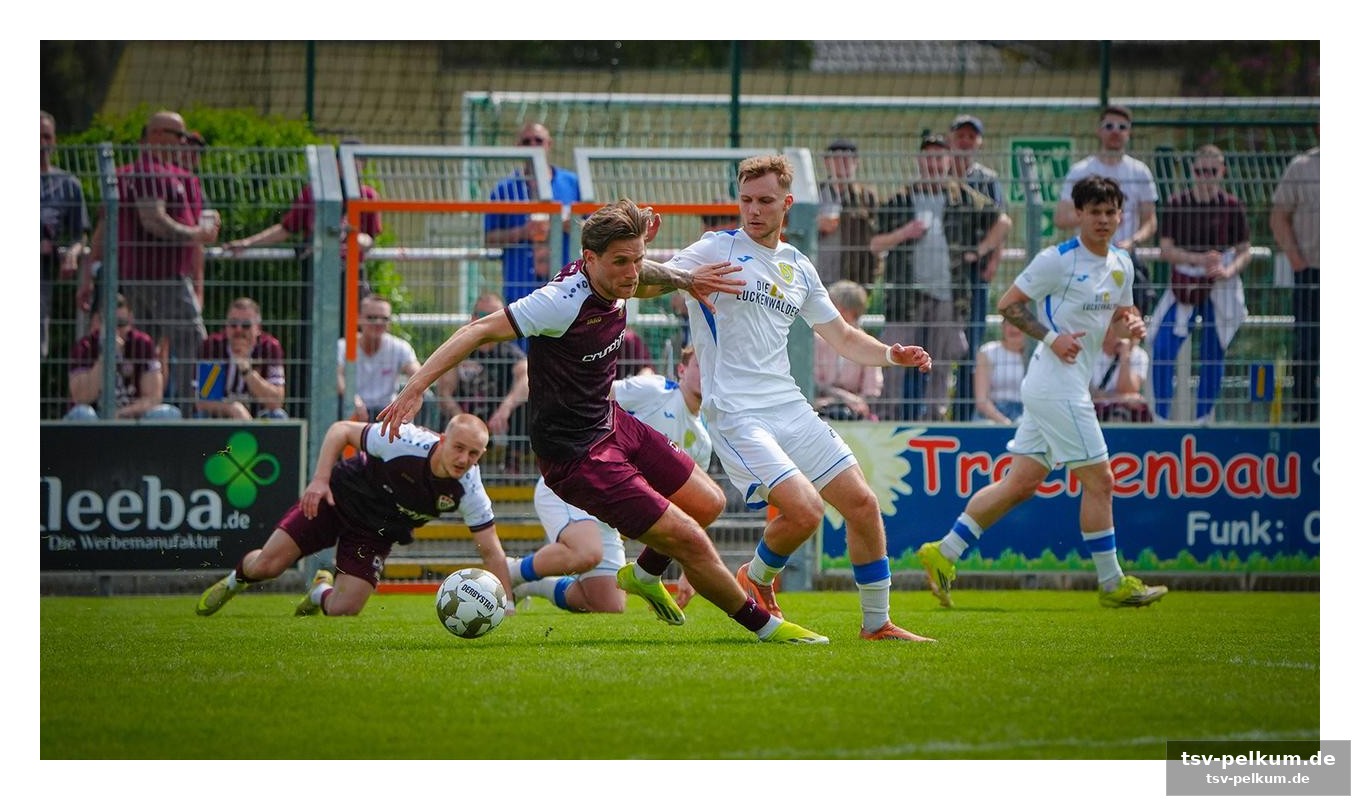 Magdeburg ii gegen babelsberg: torrausch im energie-stadion