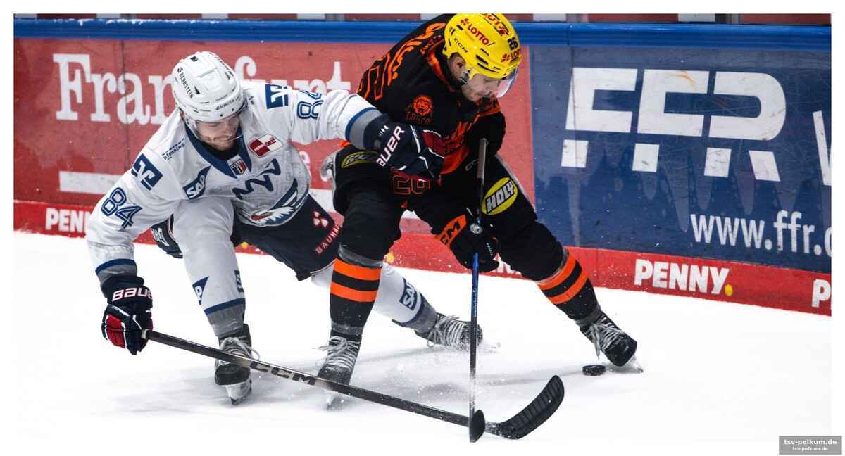Roosters sichern sich vielversprechenden angreifer