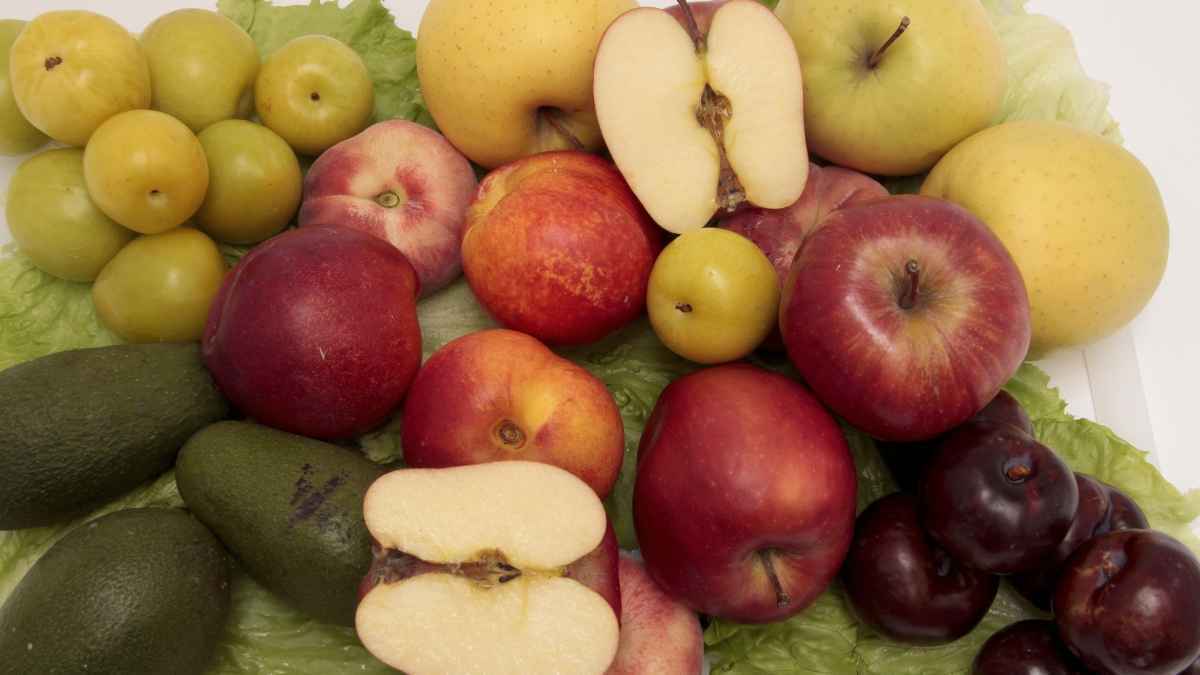 Blaubeeren: das superfood für herz und gehirn?
