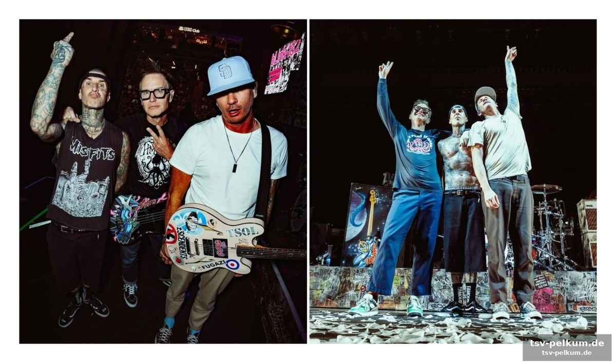 Ein jahrzehnt ohne pop-punk-explosion