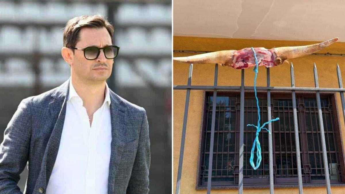 Blutige warnung an acireale-boss: rinderkopf vor haustür deponiert