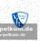 Bochum bleibt im abstiegskampf