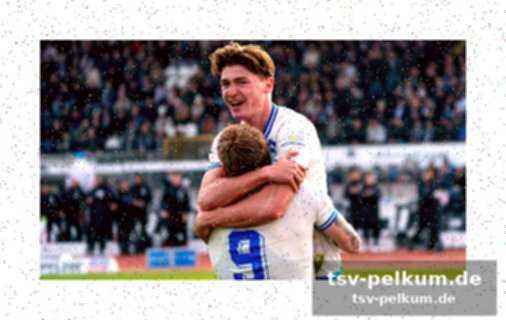 Boeys bilanz beim fc bayern