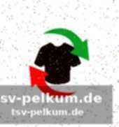 Aufstellungen und spielverlauf
