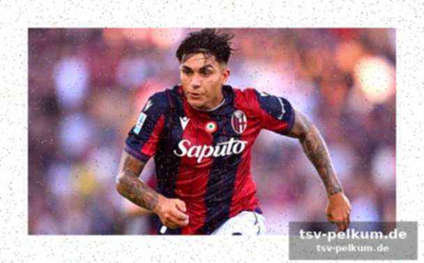 Die aufstellung von bologna