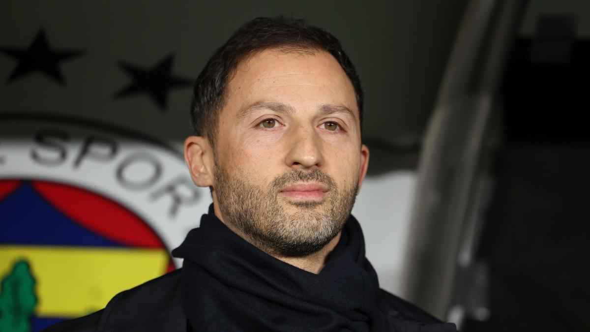Bologna holt domenico tedesco: coup für die serie a!