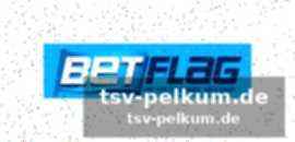 Prognose und mögliche spielverläufe