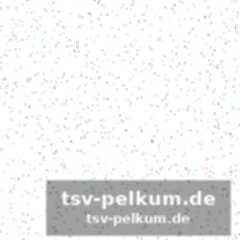 Bolognas formkurve und die ausgangslage