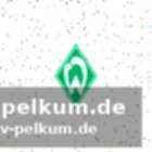 Drama und trainerwechsel