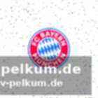 Europäische erfolge und misserfolge