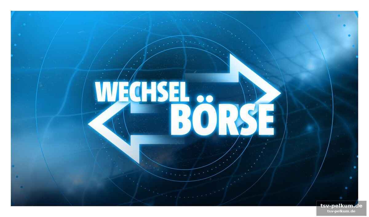Stuttgarts dilemma und hoffenheims umbruch