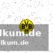 Spielverlauf: leipzig dominiert, dortmund kämpft