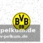 Sebastian kehl unterstreicht die flexibilität