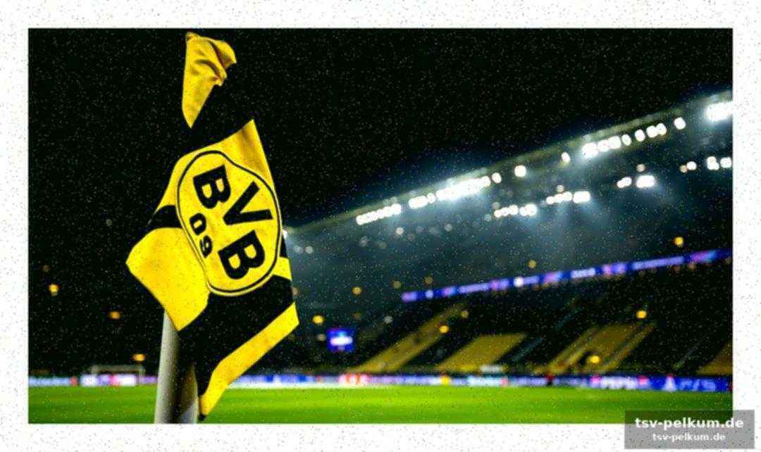 Rekordumsatz in der vorsaison