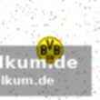Die bisherigen duelle: dortmund gegen atalanta