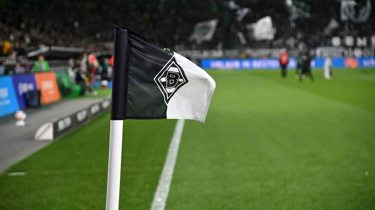 Borussia mönchengladbach: erneute verluste trotz umsatzplus!