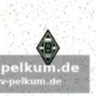 Testungen und integration in das team