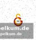 Güners erfolge bei der borussia