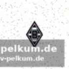 Laufbahn und nationalmannschaft