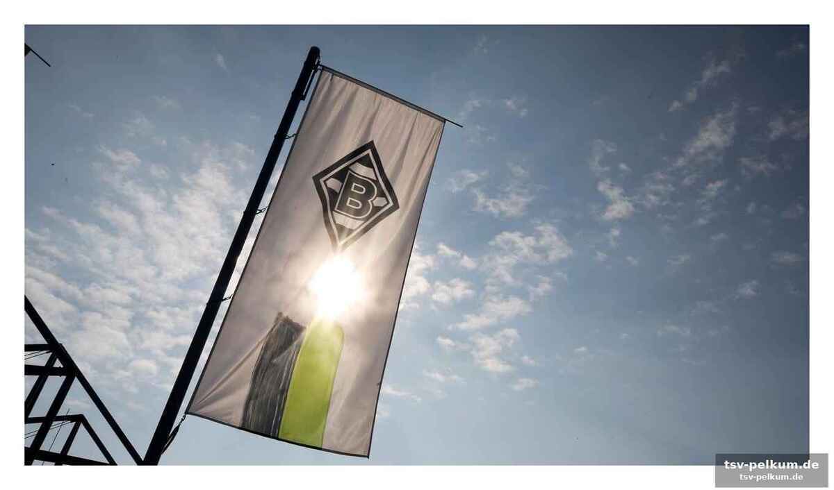 Mehr als nur zahlen: die stimmung im verein