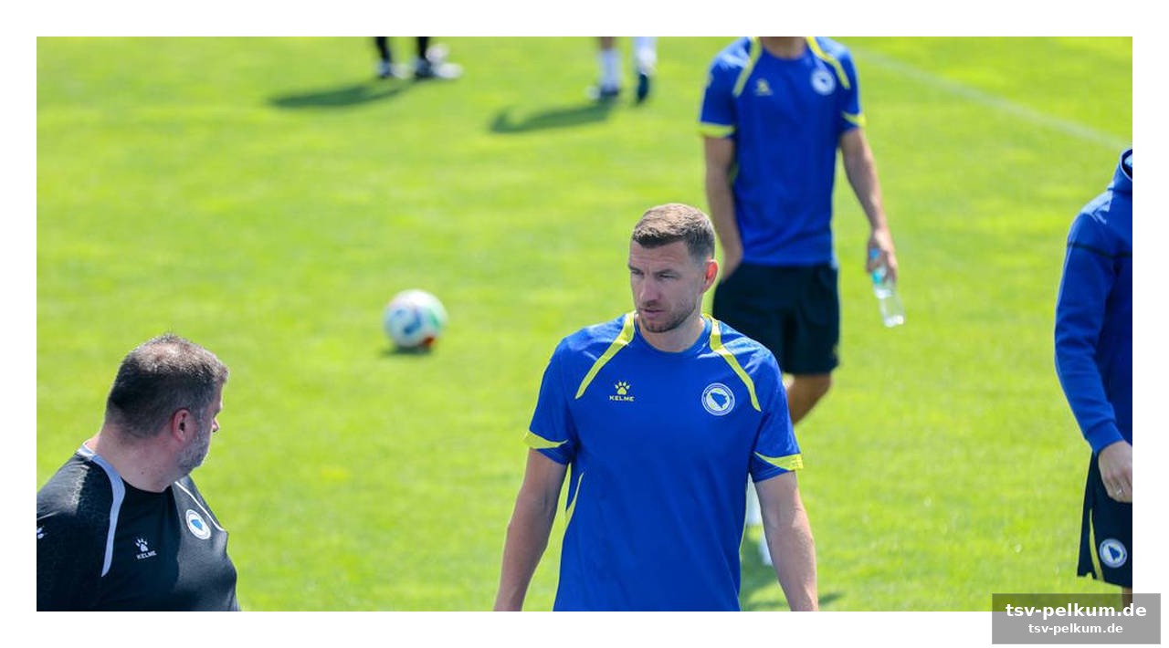 Bosnien mit bundesliga-power