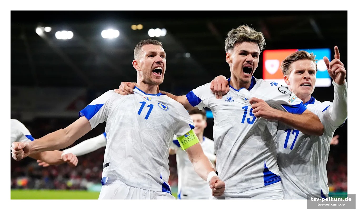 Der erfahrene dzeko im fokus
