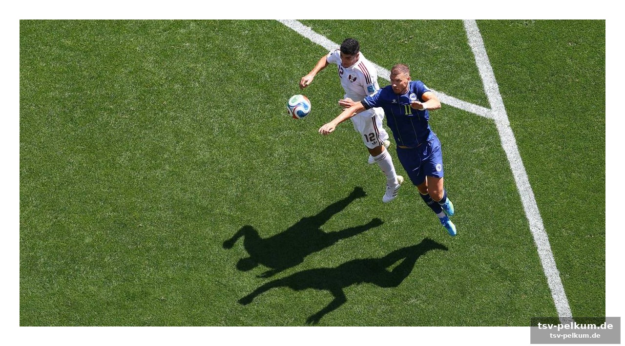 Dzeko und alajbegovic im fokus