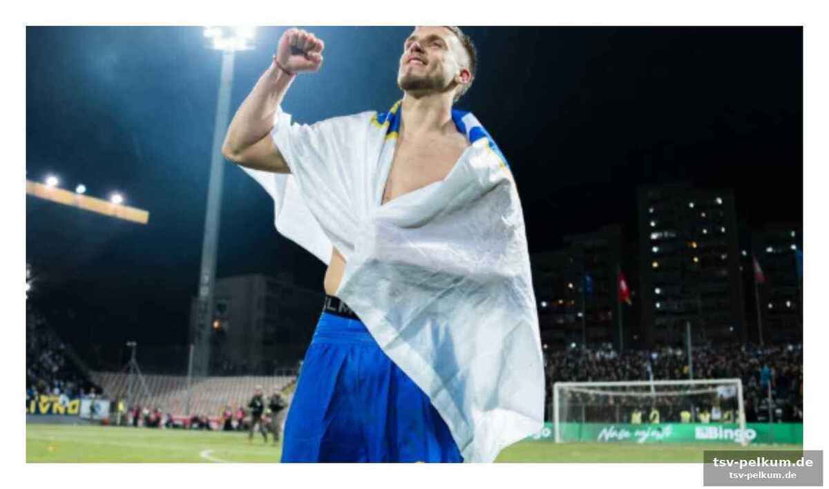 Ein fest für die anhänger: demirovic