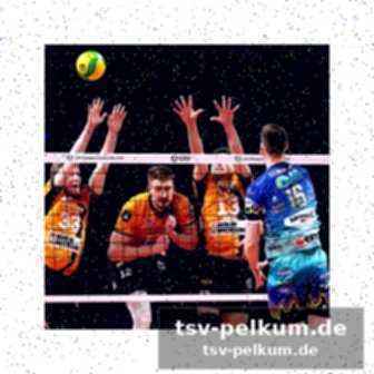 Ausblick: cev cup als wahrscheinliche alternative