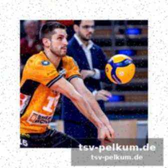Internationales comeback im cev-pokal