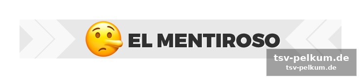 Houston – der ideale ort für den modernen fußballjournalismus