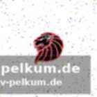 College-football als fundament