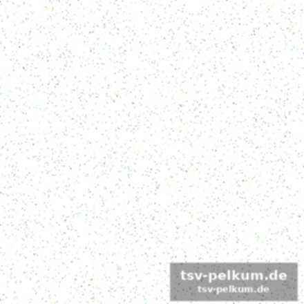 Umfangreiche präsenz und initiativen für fans