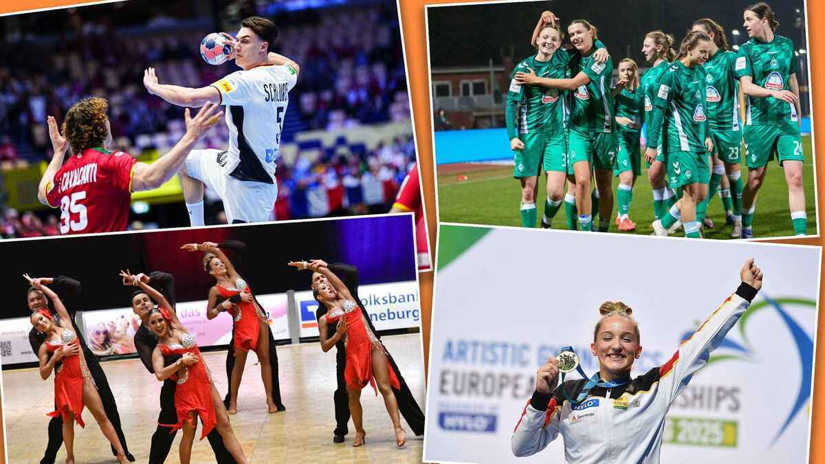 Bremens sportler des jahres: die drei nominierten hoffnungsträger