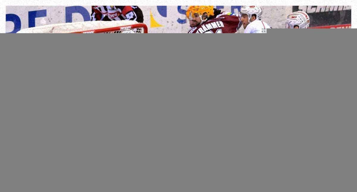 Sulzer setzt auf tempo und kassiert löwengel