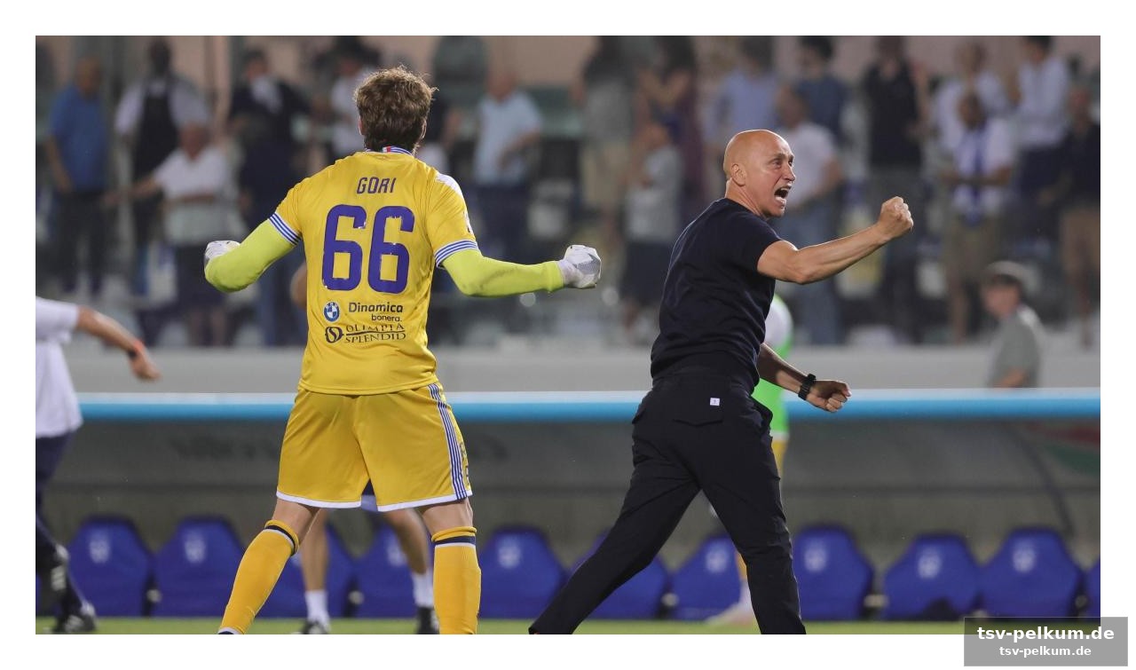Catania-ascoli: ein spiel voller wendungen