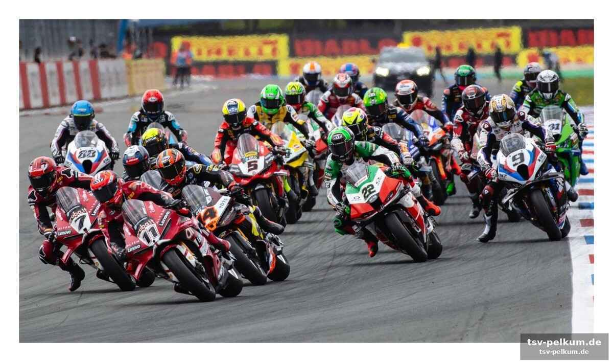 Lecuona im schatten – wer soll bulega herausfordern?