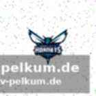 Die neuzugänge bei den bulls – sexton und dieng