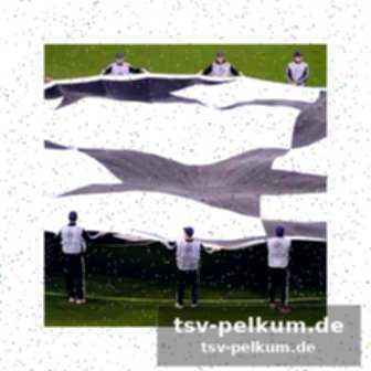Der maximale theoretische fall: elf bundesligisten international