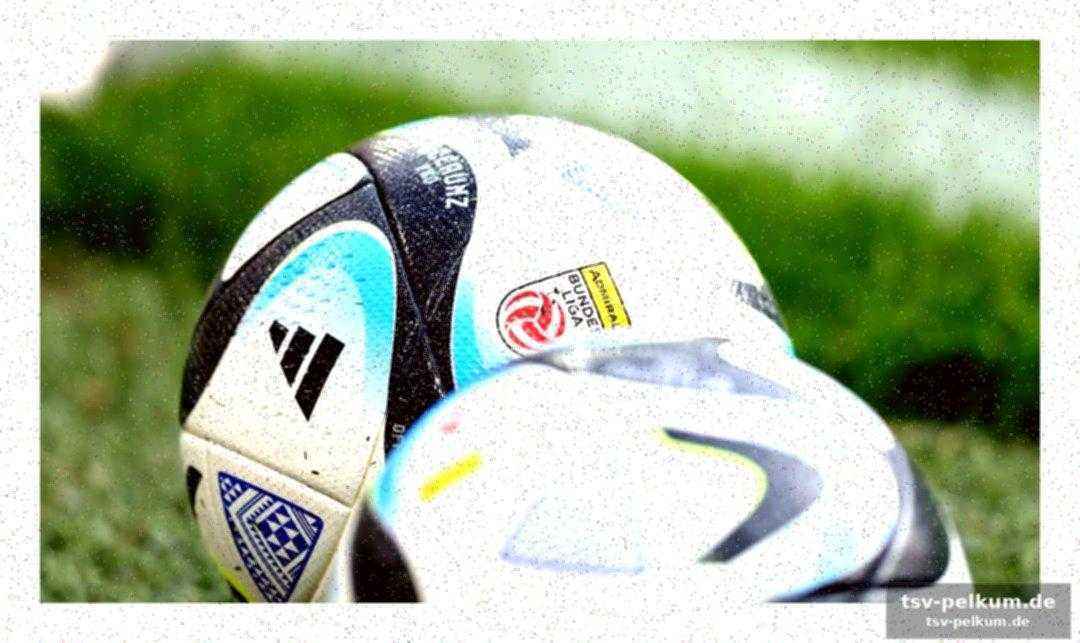 Hartberg dominiert: ein ungeschlagener winter