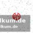 Mainz chancenlos – eigentor besiegelt die niederlage
