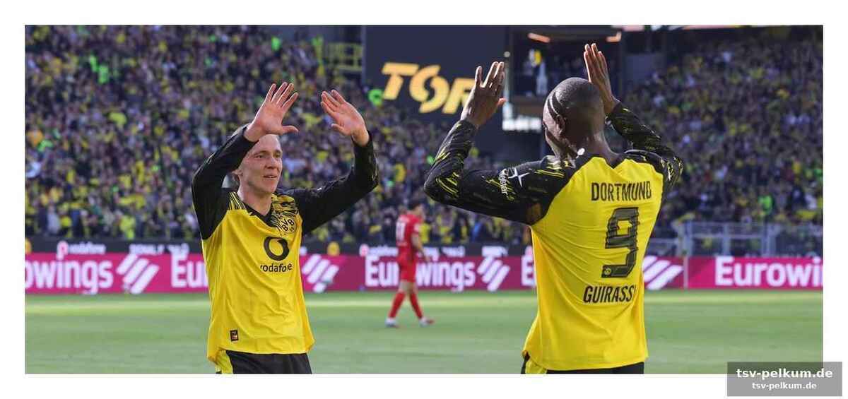 Was bedeutet der sieg für dortmund?