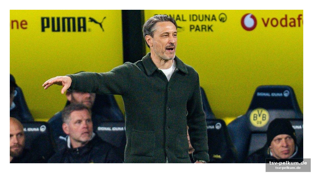 Buchmacher und wett-tipps: auf dortmund wird gesetzt