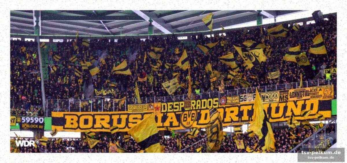 Bvb in intensivem austausch mit uefa und atalanta