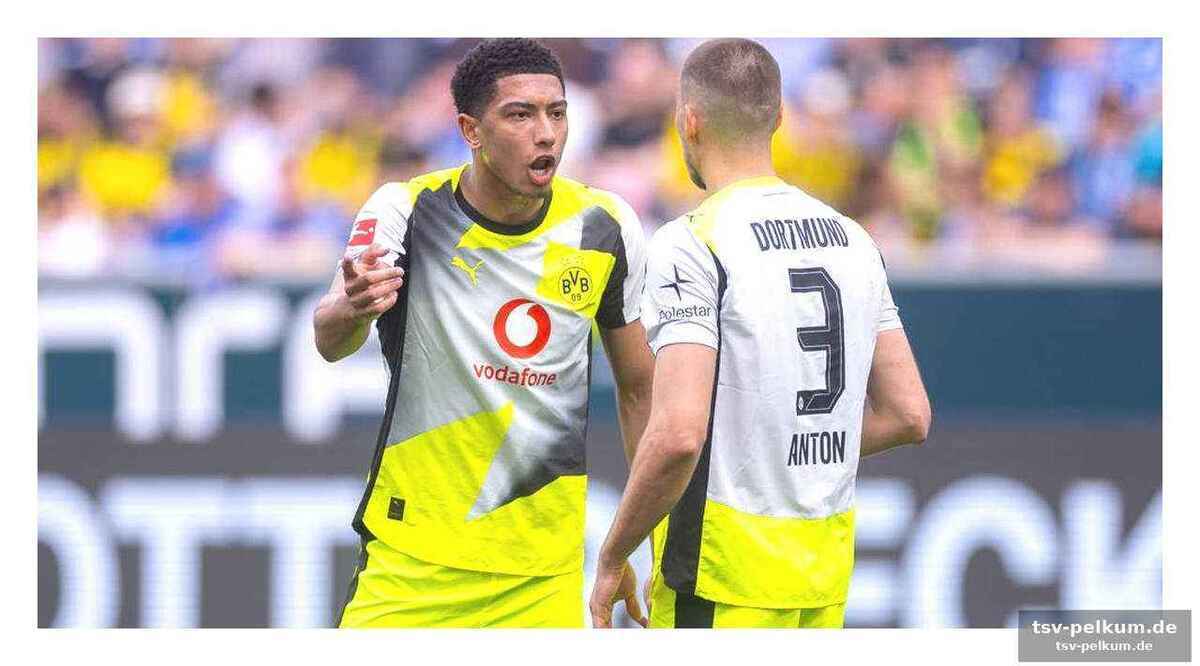 „Es bröckelt“ – was fehlt dem bvb wirklich?
