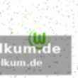 Karim adeyemi fehlt mit sprunggelenkverletzung