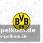 Weidenfeller glaubt an dortmunder titelchancen