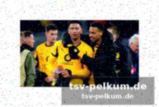 Champions league im fokus: das spiel gegen bergamo