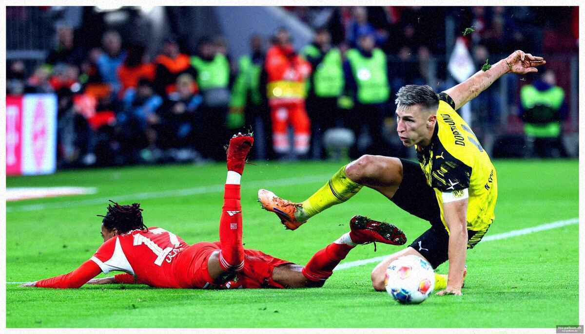 Die formkurve des bvb
